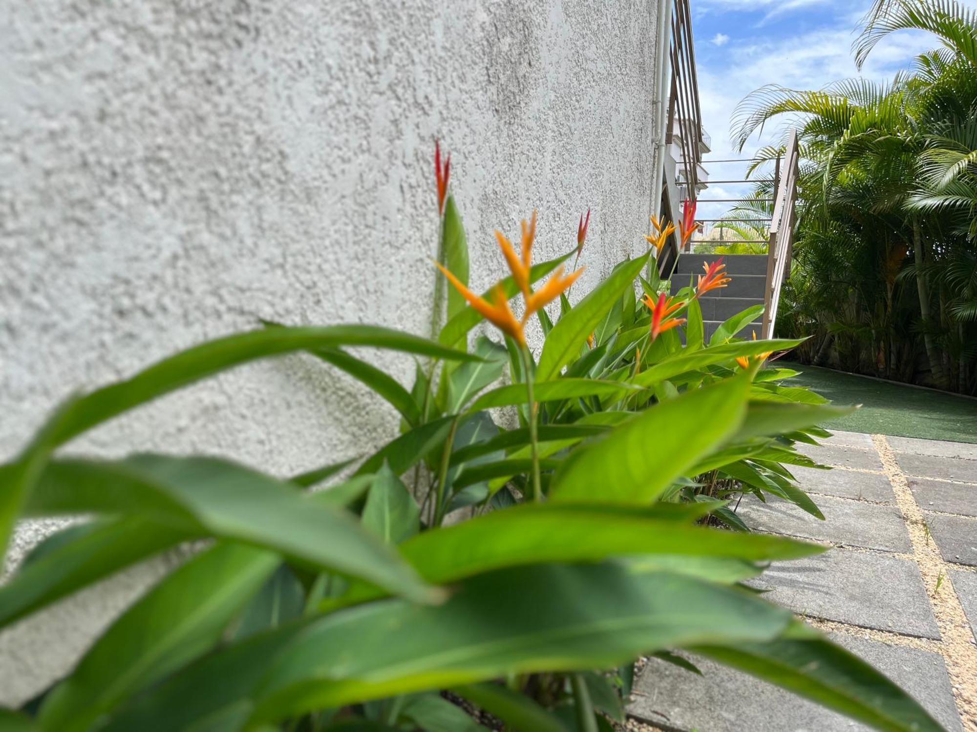 Seasons Break Apartment Pereybere Pereybere Beach Екстериор снимка